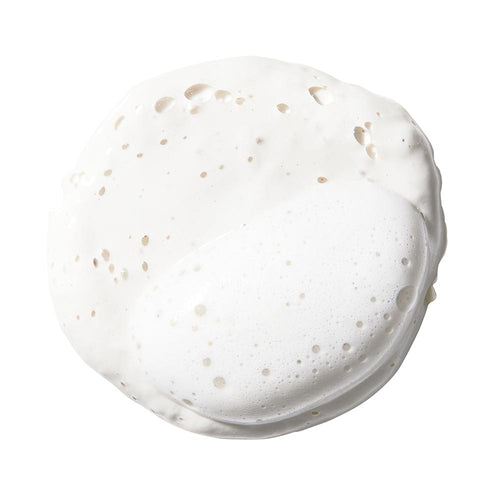 Kiehl's Rare Earth Deep Pore Daily Cleanser With Amazonian White Clay & Aloe Barbadensis