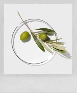 Kiehl’s Tip For Dry Skin