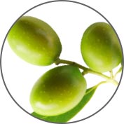 Kiehl's Midnight Recovery Concentrate Facial Oil