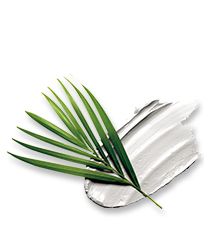 Amazonian White Clay