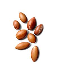 Argan Oil