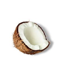 Coconut Oil