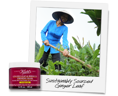 Ginger Leaf & Hibiscus Firming Mask